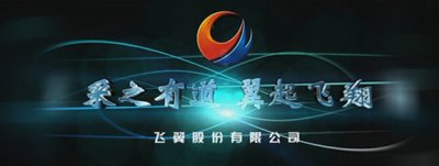 飞翼股份